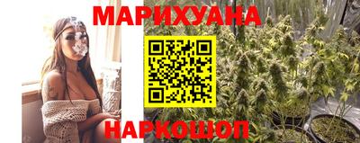сатива Будённовск