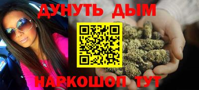сатива Будённовск