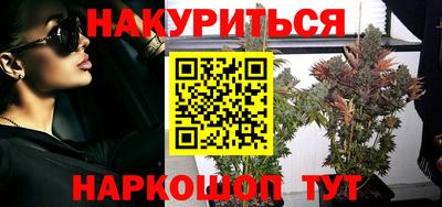 сатива Будённовск