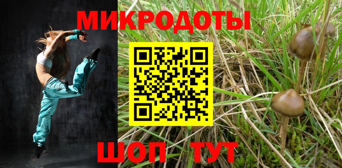 Богородск  Псилоцибиновые грибы Magic Shrooms  Вход с VPN 